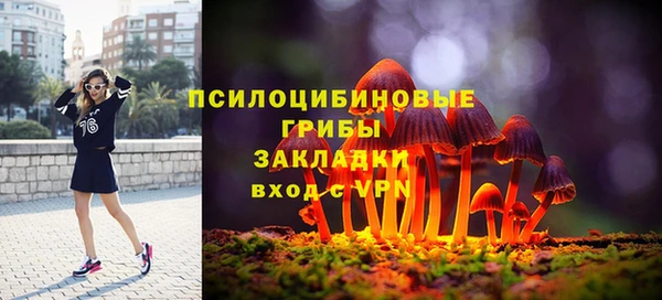 PSILOCYBIN Алексеевка