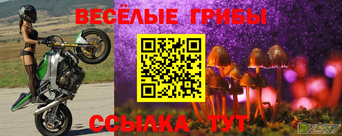 Галлюциногенные грибы Cubensis  Вход с VPN  Красногорск 