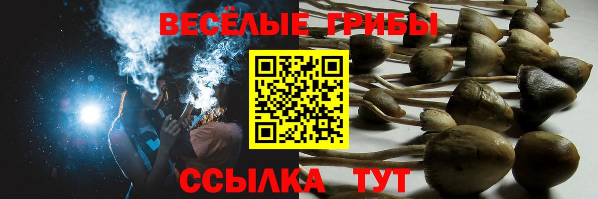 А ПВП Красногорск